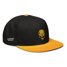 Load image into Gallery viewer, Destroy All Humans Iconic Crypto Snapback
