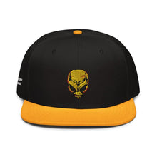 Load image into Gallery viewer, Destroy All Humans Iconic Crypto Snapback
