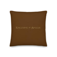 Load image into Gallery viewer, Kingdoms of Amalur Map Pillow
